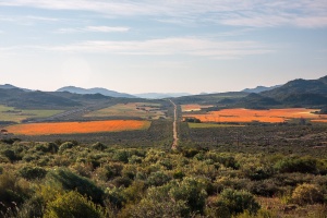 Cape Town to Springbok